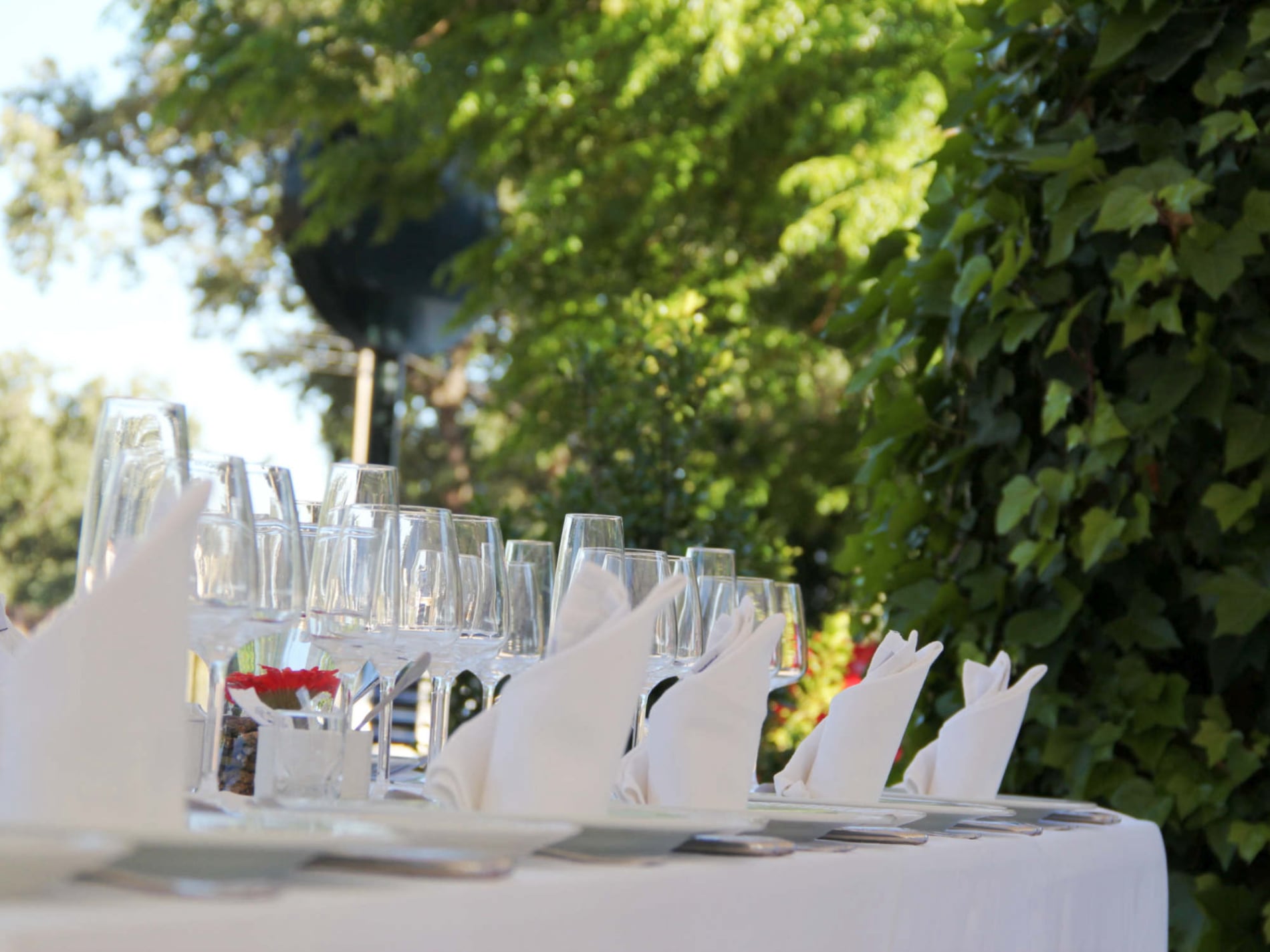 Restaurantes Gredos, comer cenar tapear en la Sierra de Gredos